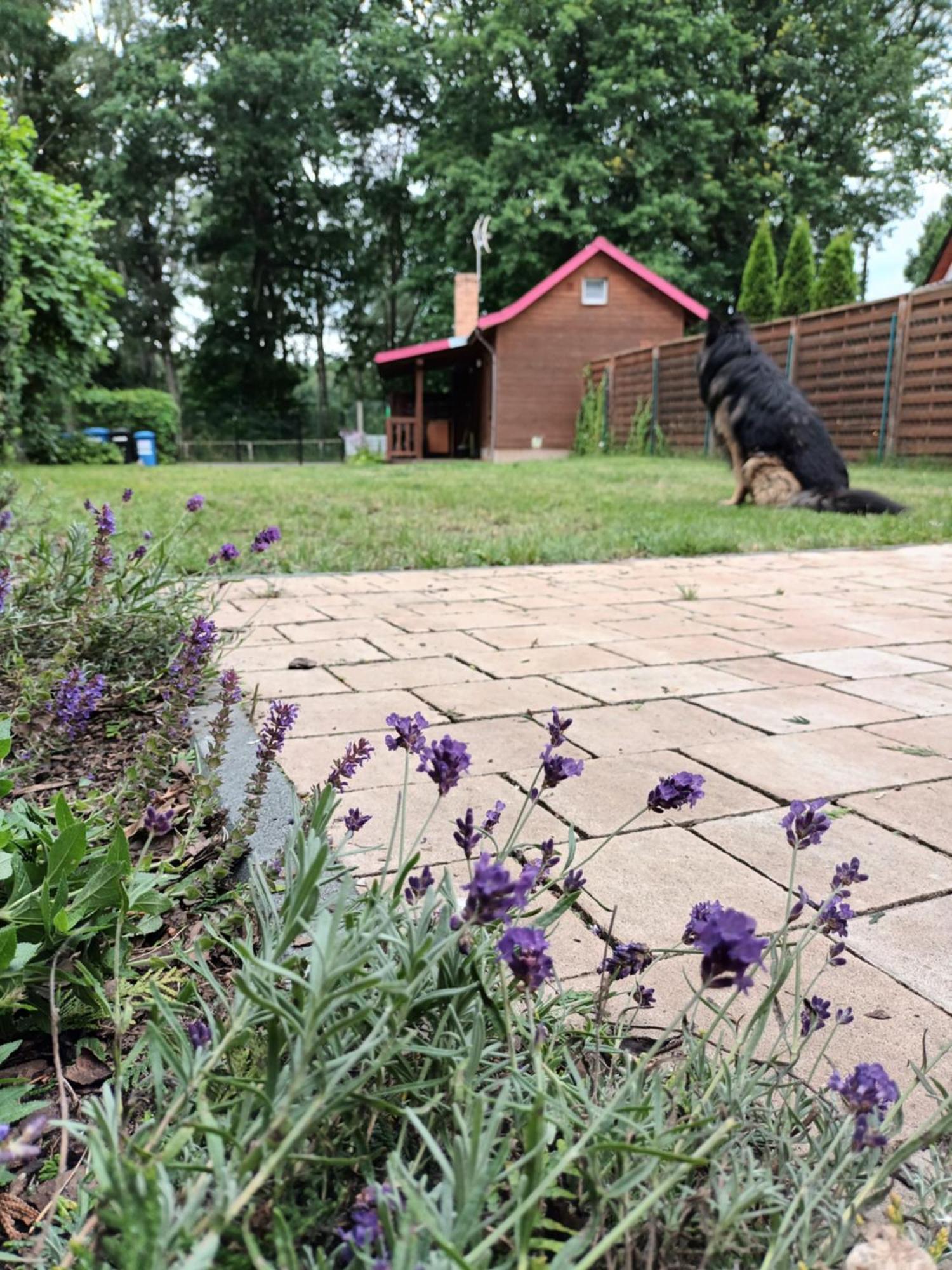 Zacisze Domki Letniskowe Karsibor Świnoujście Exterior foto